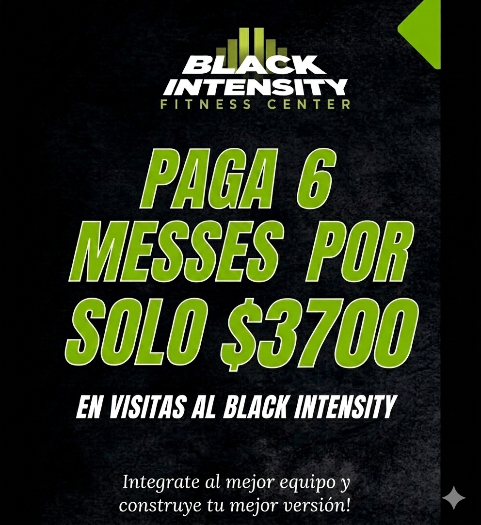 6 meses